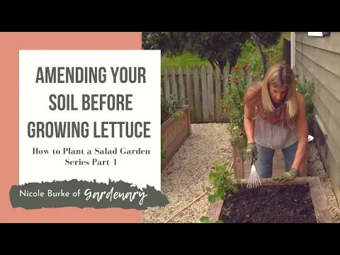 Download MP3 Amending Your Soil Before Growing Lettuce - How to Plant a Salad Garden Series Part 1