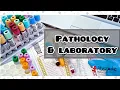 Pathology and Laboratory CPT Medical Coding for the CPC and CCS Exams