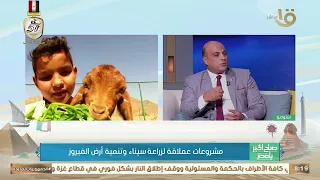 أفضل الأماكن للزراعة في أرض سيناء   منسق عام مراكز الخدمة الزراعية بسيناء يكشفها دندنها