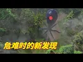 Download Lagu 怪兽计划2 |危难时的新发现 50