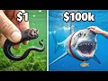 1 vs 100 000 Pet Fish