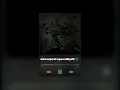 sesal separuh nyawa (slowed reverb) 