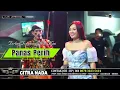 Download Lagu PANAS PERIH ~ AYU WD || CITRA NADA LIVE DESA LEMBARAWA (BLOK LOR )- BREBES