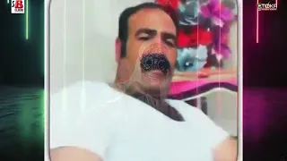                                            دندنها