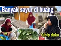 Lagu BANYAK SAYUR SISA PEDAGANG⁉️ SALAH PAKAI BAJU JADI DI LIHATIN ORANG