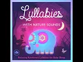 Rain, Rain Go Away Lullaby (Relaxing Sounds of the Rainforest Version) - Sleepyheadz