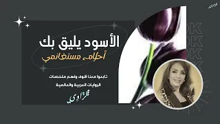 ملخص رواية الأسود يليق بك   للكاتبة أحلام مستغانمي   بصوت   محمد نصرالله دندنها