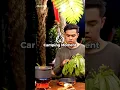 Download Lagu memasak saat camping - dan Sheila on 7 #camping #buperpleseran #tawangmangu #sheilaon7 #eksplore