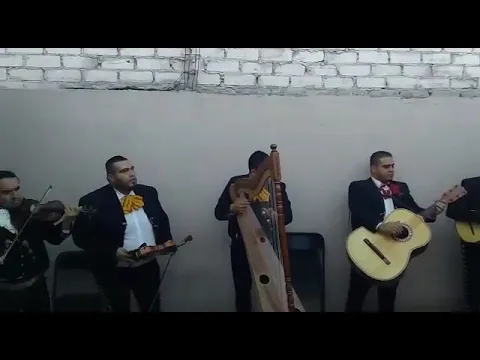 Download MP3 El perico loro mariachi Estampas De Queretaro