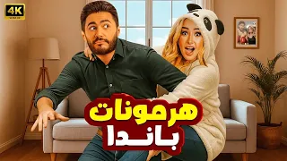 الفيلم الكوميدي هرمونات باندا كامل بطولة تامر حسني و هنا الزاهد 2025 