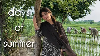 A Day in My Life | Working in the Rice Fields πΎ