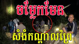 ចម្លែកមែន សំងំកណ្តាលព្រៃ បានផលពិតៗ
