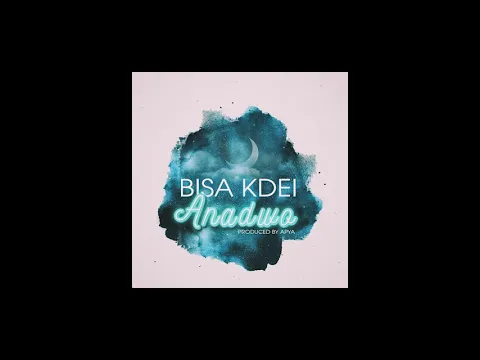 Download MP3 Bisa Kdei - Anadwo (Official Audio)
