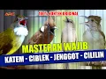 Download Lagu MASTERAN KAPAS TEMBAK - CIBLEK - CUCAK JENGGOT - CILILIN