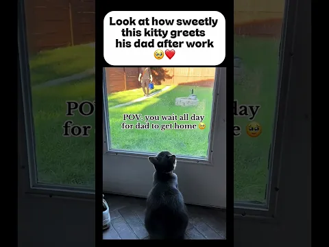 Cats love more than humans sometimes!!