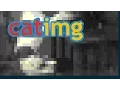 Catimg GIF in terminal