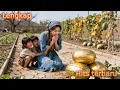 Download Lagu Di tanah tandus, ibu tunggal miskin menanam semangka… emas bermunculan! Hidupnya berubah total!