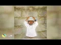Thuto The Human - No Nyaks Given (feat. Sxova) (Official Audio)