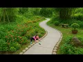 Download Lagu Building a Beautiful $5000 Concrete Road from the Bamboo Bridge to the House