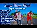 Download Lagu Lagu Timur Viral - Tabola Bale- Pica Pica- Ngapain Repot - Stecu Stecu