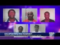 UPDATE One of five escaped inmates in Georgia is in custody