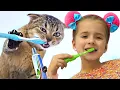 Download Lagu Ruby and Bonnie learn how to care for a kitten