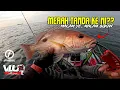 Download Lagu Merah Tanda ke ni?? Ataupun Jenahak?? - #VLUQ525 - Kayak Fishing Malaysia