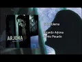 Ricardo Arjona - El Problema (Audio)