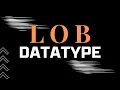 Oracle Large Object Data Types LOB Oracle SQL fundamentals
