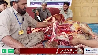 تقرير مشروع الأضاحي مسجد محمد عبد الله بلخير لعام 1445 