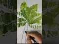 leaf impression drawing easy tree drawing step craft