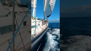 Sailing Sulawesi – The Island Of Smiles