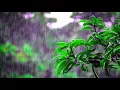 Glay - Rain (1 Hour)