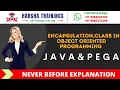 Encapsulation Class in Object Oriented Programming Java and Pega Explanation By Harsha Pega