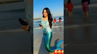 Tom شفا شفاشفا شفا شفا شفا شفن شفا توم توم سهور شفا2القط الاطفال شفاشفا Cat خلودة ايلسا Sh 