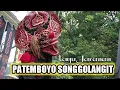 Lagu Lagu Jaranan PATEMBOYO SONGGOLANGIT voc Gea Ayu -  New SETYO BUDOYO terbaru 2022
