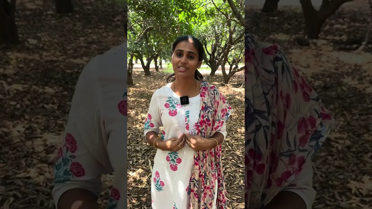 Natural Farmer