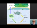 The Nitrogen Cycle