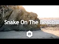 Download Lagu YouTube Music Free [Snake On The Beach - Nico Staf] Royalty Free Music No Copyright | RFM - NCM
