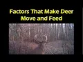 What Makes Deer Move and Feed During Daylight Hours of the Deer Hunting Season