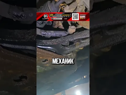 ЛАСТОЧКА В СЕРВИСЕ