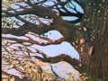 Download Lagu Soviet animation  The Tree and the Cat + Eng  subtitles