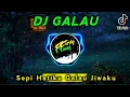 Download Lagu DJ GALAU || SEPI HATIKU GALAU JIWAKU