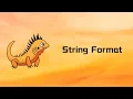 Zig String Format Tutorial 108