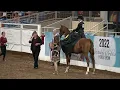Download Lagu Scottsdale Arabian Horse Show 2022 HA/AA Ladies Side Saddle Championship JTR 18 \u0026 Under results