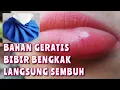 CARA MENGATASI BIBIR BENGKAK DENGAN CEPAT | OBAT BIBIR BENGKAK