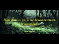 Atreyu - Dead (Subtítulos en Español)