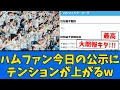 Download Lagu 【公示】ハムファン今日の公示になぜか興奮するwwwww【プロ野球反応集】