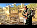 Download Lagu Homeless Mother Battles Harsh Nature: The Secret of Collecting Firewood for Survival!
