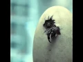 Lagu Jurassic World Egg Hatch